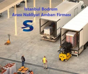 Bodrum Ambarı