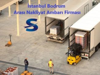 Bodrum Ambarı